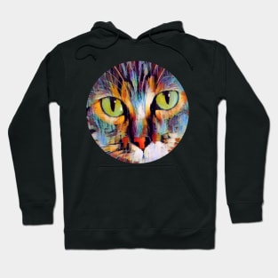 Amusing floppy cat Hoodie